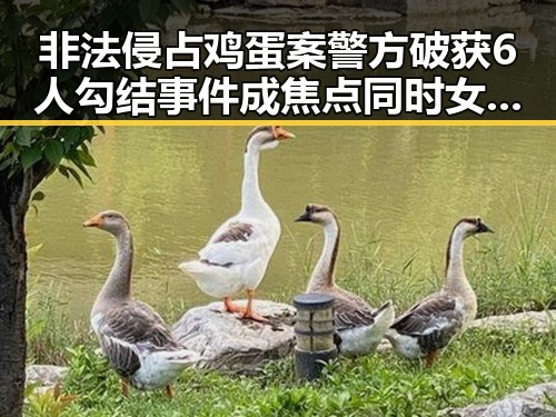 非法侵占鸡蛋案警方破获6人勾结事件成焦点同时女排战胜塞尔维亚引热议