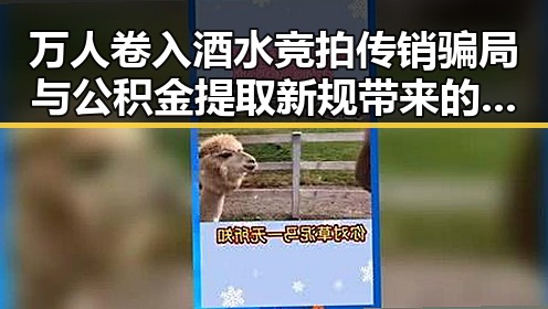 万人卷入酒水竞拍传销骗局与公积金提取新规带来的反差冲击