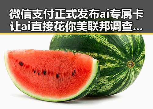 微信支付正式发布ai专属卡让ai直接花你美联邦调查局挫败白宫格斗赛袭击图谋